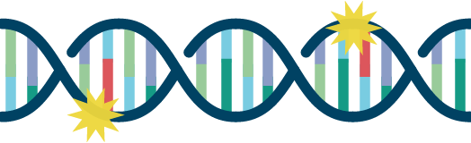 変化した遺伝子の図